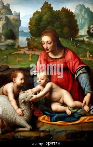 Museo Thyssen-Bornemisza. La Vergine col Bambino con il Bambino San Giovanni Battista. 1523. Foto Stock