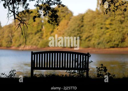 Una panca vuota di fronte ad un lago e ad una foresta. Foto Stock