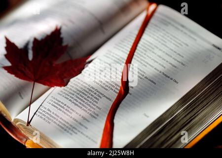 Apri la bibbia con una foglia asciutta. Chiesa candele in chiesa. Donna che prega la Vergine. Foto Stock