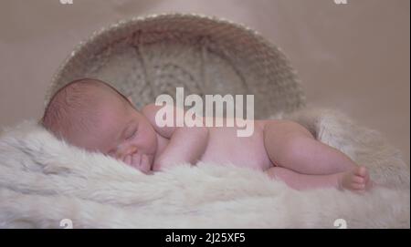 Ripresa del neonato in studio estetico - carino il bambino che dorme pacefoly in una pelliccia fuori del cestino in uno sfondo beige Foto Stock