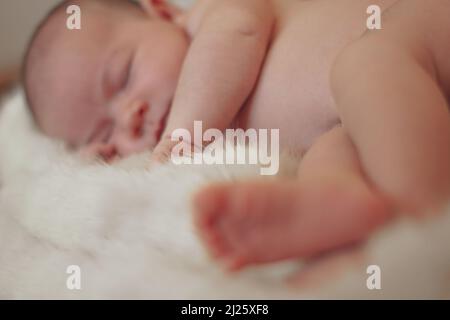 Ripresa del neonato in studio estetico - carino il bambino che dorme pacefoly in una pelliccia fuori del cestino in uno sfondo beige Foto Stock