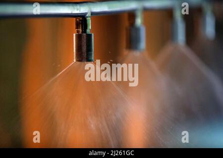 Centro termale. Particolare dell'acqua che esce dalla doccia. Foto Stock