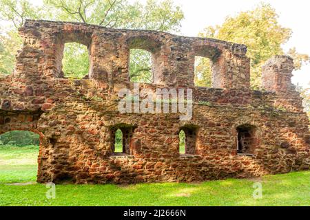 Le rovine della chiesa del monastero di Nimbschen, un'ex abbazia cistercense vicino a Grimma nel distretto sassone di Lipsia sul fiume Mulde in Germania. Foto Stock