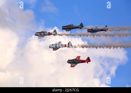 'The Roaring Forties', una squadra di aerobica che vola aerei Harvard (T-6 Texan) dell'era WW2, fuma in un'esposizione aerea Foto Stock