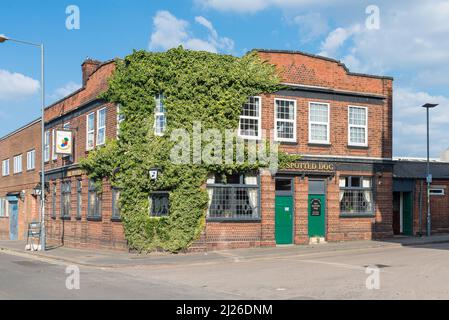 The Spotted Dog Irish pub con musica dal vivo a Digbeth, Birmingham, Regno Unito Foto Stock