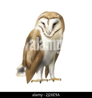 Watercolor gufo fienile. Un'illustrazione realistica di un gufo. Uccello bianco con ali beige e testa uccello notturno Foto Stock