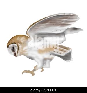 Acquerello volante gufo fienile gufo. Un'illustrazione realistica di un gufo. Uccello bianco con ali beige e testa uccello notturno Foto Stock