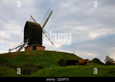 Il mulino a vento a Brill, Buckinghamshire, Inghilterra Foto Stock