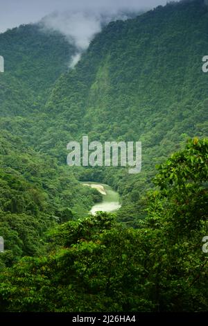 Vista sul fiume Anchicaya sulla foresta pluviale della regione del Pacifico. Valle del Cauca, Colombia Foto Stock