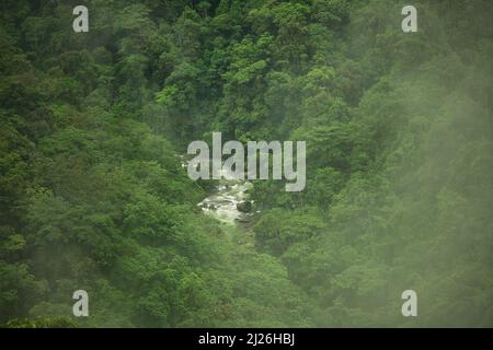 Vista sul fiume Anchicaya sulla foresta pluviale della regione del Pacifico. Valle del Cauca, Colombia Foto Stock