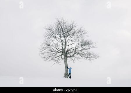 Vecchio albero di tiglio sul prato estivo. Grande corona di alberi con lussureggiante verde fogliame e tronco spesso che illumina dalla luce del tramonto. Fotografia di paesaggio Foto Stock