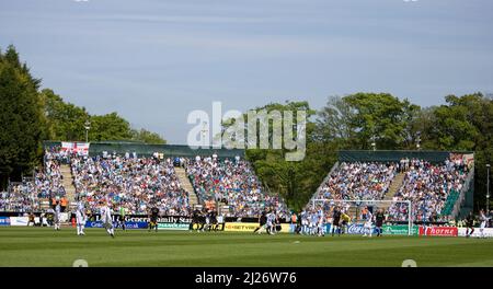 I tifosi hanno visto durante la partita della Coca Cola League One tra Brighton & Hove Albion e Stockport County al Withdean Stadium il 02 maggio 2009 a Brighton. Foto Stock