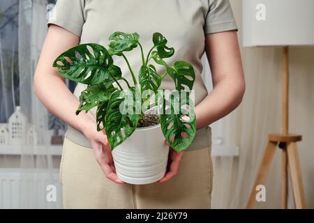 Una donna tiene un vaso con una maschera di scimmia monstera di pianta nelle sue mani mentre si trova in una stanza vivente domestica Foto Stock