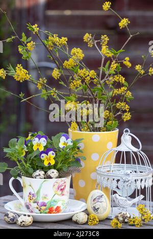 decorazione floreale primaverile con fiore di viola in tazza e bouquet di fiori di ciliegio di mais Foto Stock