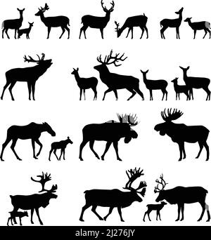 Collezione di silhouette di animali selvatici della famiglia dei cervi Illustrazione Vettoriale