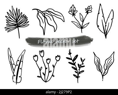 Collezione vettoriale linea arte di fiori e piante. Bellezza decorativa elegante illustrazione per il design. Set di fiori disegnati a mano. Illustrazione Vettoriale