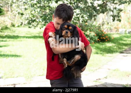 Giovane volto in pelliccia capretto in T-shirt rossa in tenuta, abbracciando cane cucciolo re Charles Spaniel. Estate, compagno, amico Foto Stock