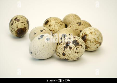 Le uova di quaglie si presentano su uno sfondo bianco color pastello. La texture delle conchiglie in primo piano. Un uovo di quaglia comune bellissimo campione in un Foto Stock