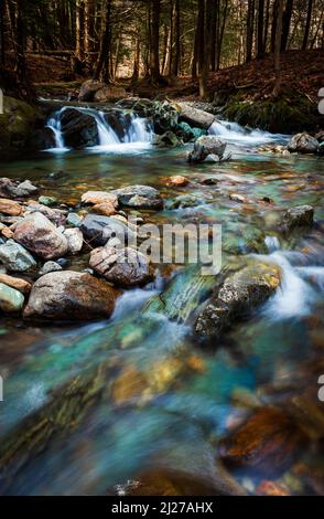 ruscello nella foresta appalachiana Foto Stock