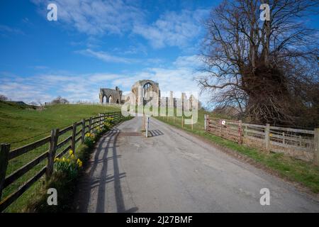 Rovine dell'abbazia di Egglestone sulle rive del fiume Tees nella contea di Durham Foto Stock