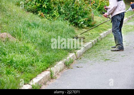 Un giardiniere di utilità falcia un pendio overgrown con erba verde con un trimmer di benzina. Spazio di copia. Foto Stock