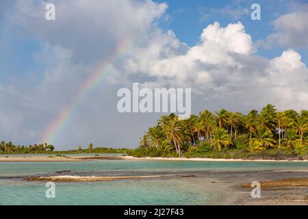 Atolli fiancheggiati da palme nell'arcipelago di Tuamotu Foto Stock