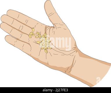 Illustrazione del vettore del palmo della mano Illustrazione Vettoriale