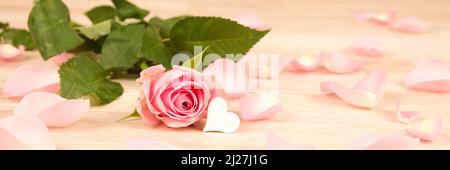 Rosa con cuore su sfondo rosa Foto Stock