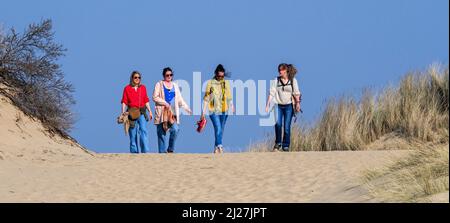 Quattro allegri amici/donne di mezza età nei loro 30s a piedi in dune di sabbia lungo la costa del mare del Nord in una giornata di sole in primavera Foto Stock