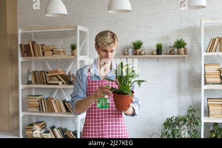 Un giovane attraente in un grembiule si occupa di piante domestiche, annaffiatura e lavorazione dei fiori. Foto Stock