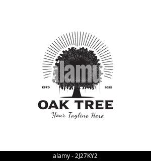 Modello di logo Vector Oak tree con luce solare isolata su sfondo bianco. Illustrazione Vettoriale