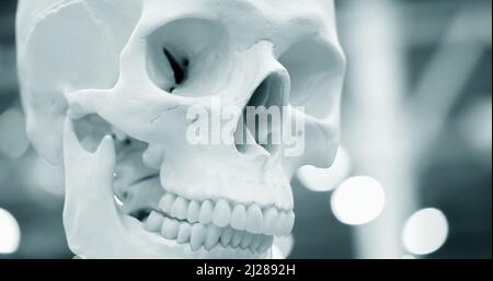 Layout bianco teschio umano closeup, medico presentano Foto Stock