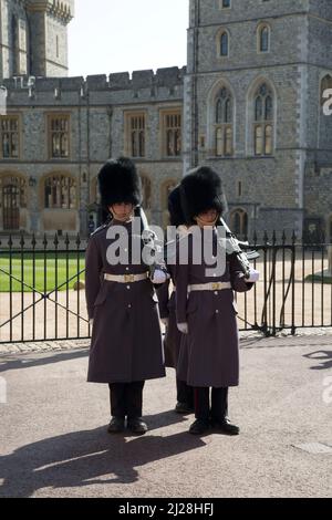 Le Guardie irlandesi sulla parata, residenza reale sovrana britannica. Windsor Castle, Windsor, Berkshire, Inghilterra, Regno Unito Foto Stock