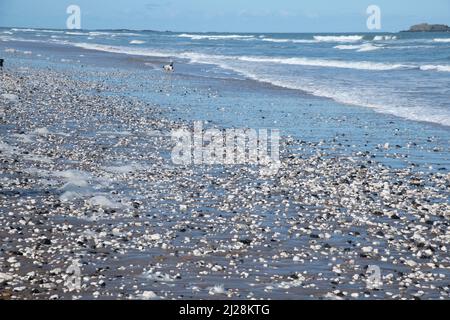 Whiterocks, Causeway Coast, County Antrim, Irlanda del Nord Foto Stock