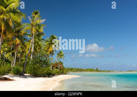Atolli fiancheggiati da palme nell'arcipelago di Tuamotu Foto Stock