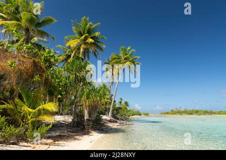 Atolli fiancheggiati da palme nell'arcipelago di Tuamotu Foto Stock