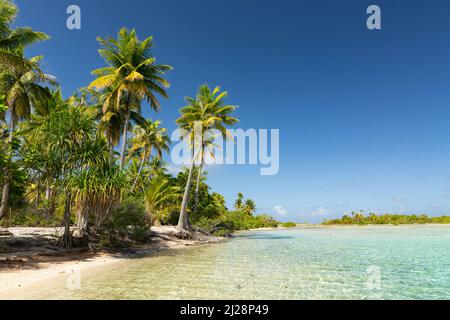 Atolli fiancheggiati da palme nell'arcipelago di Tuamotu Foto Stock