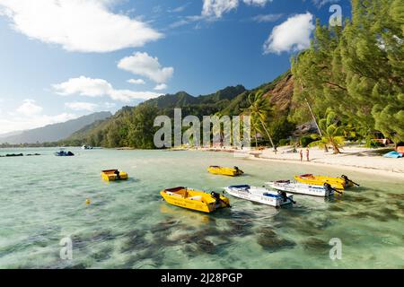 Barche in affitto a Tiahura, Moorea, Polinesia Francese Foto Stock