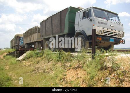 Chambas, Cuba, 25 aprile 2010. Camion trasportano la canna da zucchero Foto Stock