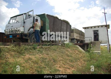 Chambas, Cuba, 25 aprile 2010. Camion trasportano la canna da zucchero Foto Stock