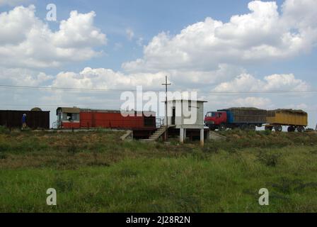 La canna da zucchero viene trasportata in camion e quindi viene caricata sul treno Foto Stock