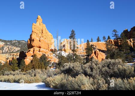 Red Canyon nella Dixie National Forest, Utah-USA Foto Stock