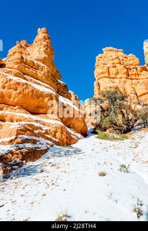 Red Canyon nella Dixie National Forest, Utah-USA Foto Stock