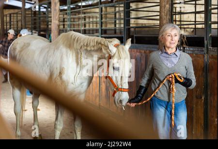 Lavoratrice stalla femminile anziata che conduce il cavallo bianco dalla briglia in fienile Foto Stock