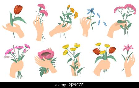 Cartoon mani femminili che tengono bouquet di fiori. Set di tulipani, garofani, giardino fresco e fiori di campo. Illustrazioni vettoriali per fioritura, romantico de Illustrazione Vettoriale