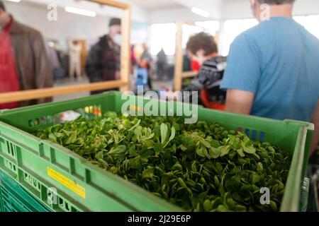 Norimberga, Germania. 29th Mar 2022. Principalmente i rifugiati ucraini si allineano alla banca alimentare di Norimberga. Le banche alimentari in Germania hanno riportato un enorme afflusso di persone dall'inizio della guerra in Ucraina. Allo stesso tempo, stanno lottando con l'aumento dei prezzi dell'energia e del carburante. Credit: Nicolas Armer/dpa/Alamy Live News Foto Stock