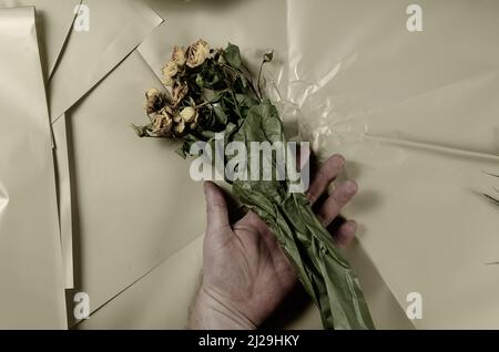 Un bouquet di fiori appassiti si trova in mano di un uomo su uno sfondo colorato. Le rose gialle appassite sono tenute da un uomo maturo. Foto Stock