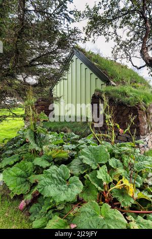 Casa colonica storica, casa di zolle in estate, vecchia casa colonica, torba, Reynistaour vicino Sauoarkrokur, Saudarkrokur, Skagafjoerour, nord-ovest Foto Stock