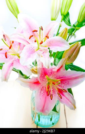 Bouquet di mazzo di fiori di giglio rosa su copyspace bianco Foto Stock