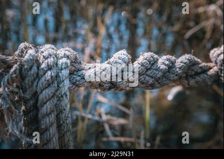 Una vecchia corda di iuta grigia esposta al tempo, Hannover, bassa Sassonia, Germania Foto Stock